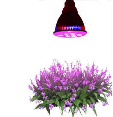 Plant led lights Grow Lights - PAR38 Grow Lights